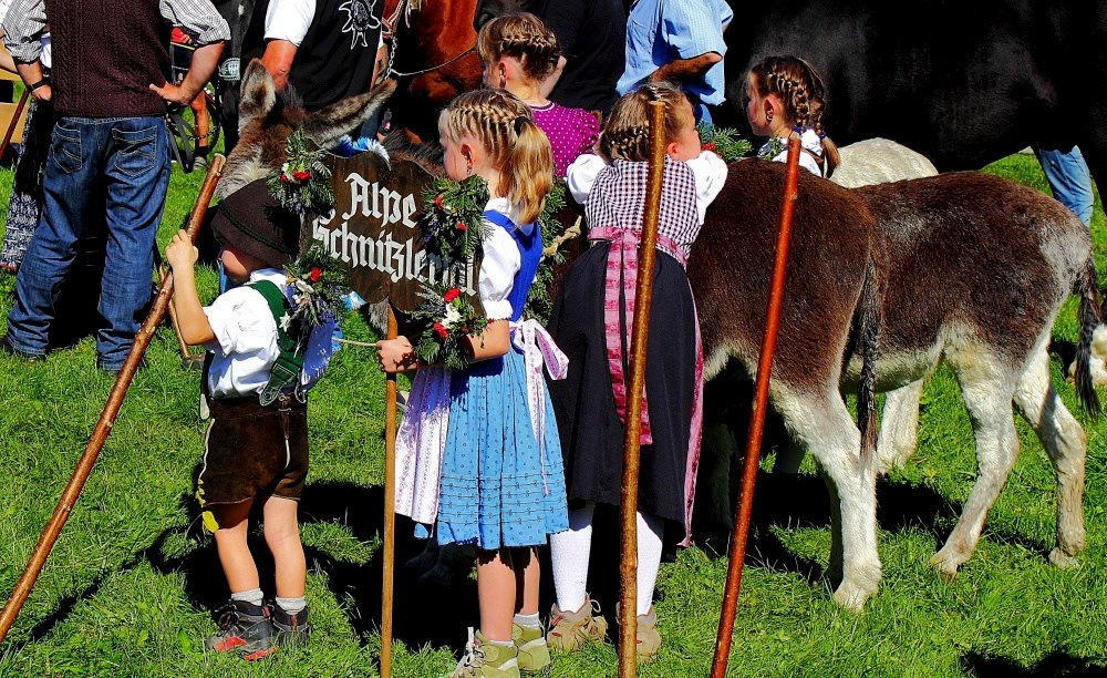 beim Viehscheid im Allgäu waren auch die Kleinsten voll dabei