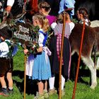 beim Viehscheid im Allgäu waren auch die Kleinsten voll dabei