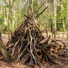 Beim Waldspaziergang....