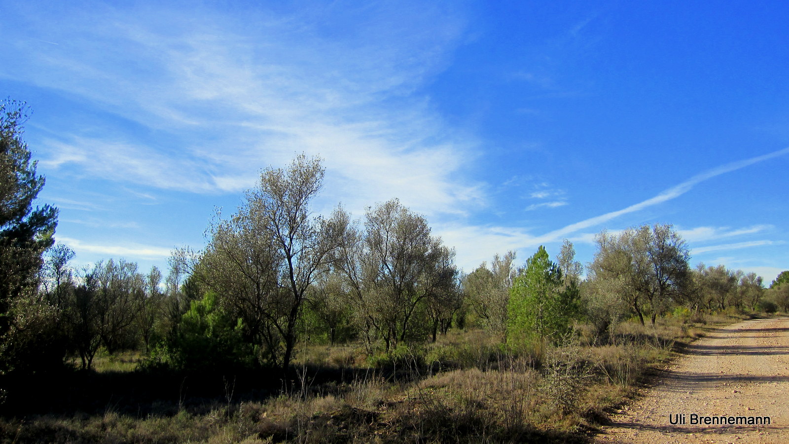 Beim Wandern am Fuss des Montserrat-Gebirges