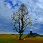 ... beim Wandern in Tschechien