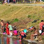 Beim Waschen im Phewa-See in Pokhara