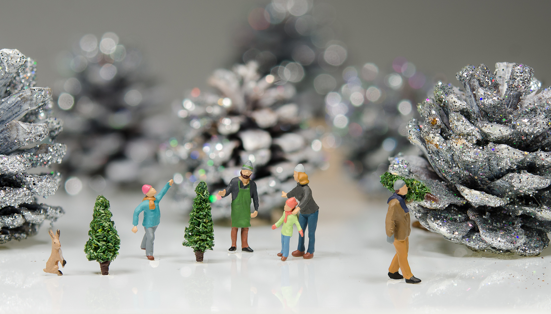 Beim WeihnachtsbaumKauf Foto & Bild stillleben, gratulation und