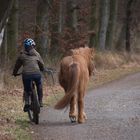 Beim Weihnachtsspaziergang .....