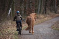 Beim Weihnachtsspaziergang .....