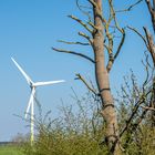 Beim Windkraft-Ausbau schneidet MV schlecht ab