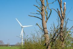 Beim Windkraft-Ausbau schneidet MV schlecht ab