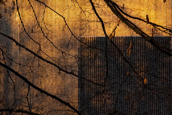 beim.stöbern.in.alten.bildern