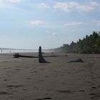 Bein eines Riesen??? - Costa Rica, Playa Esterillos Este