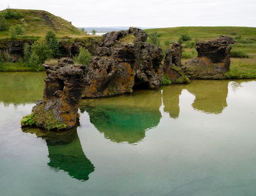 Beinahe ohne Mücken