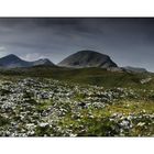 Beinn Eighe national reserve