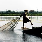 Beinruderer auf dem Inle See