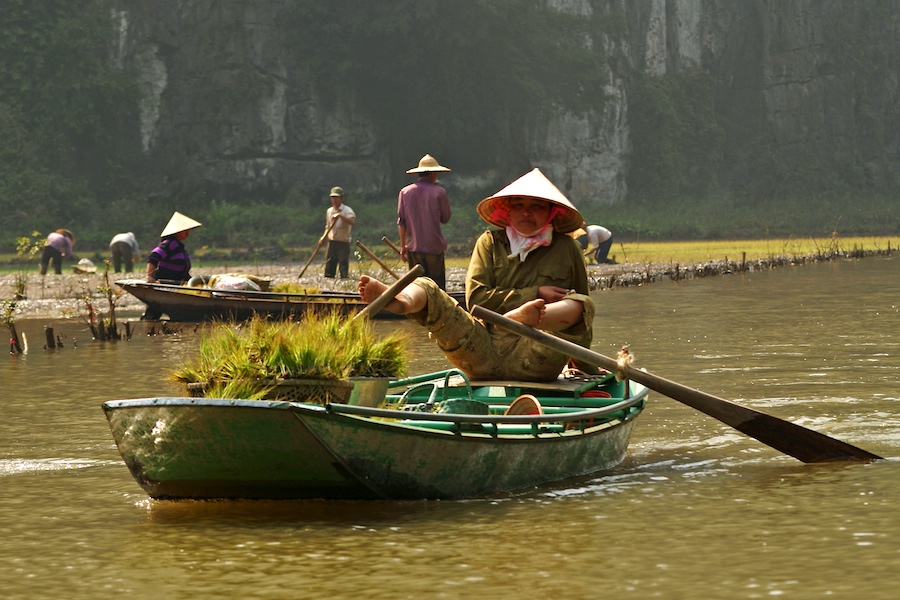 Beinruderer in der trockenen Ha Long Bucht