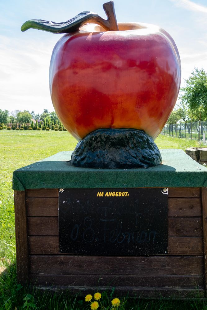 Beiß nicht gleich in jeden Apfel, der könnte Steinhart sein