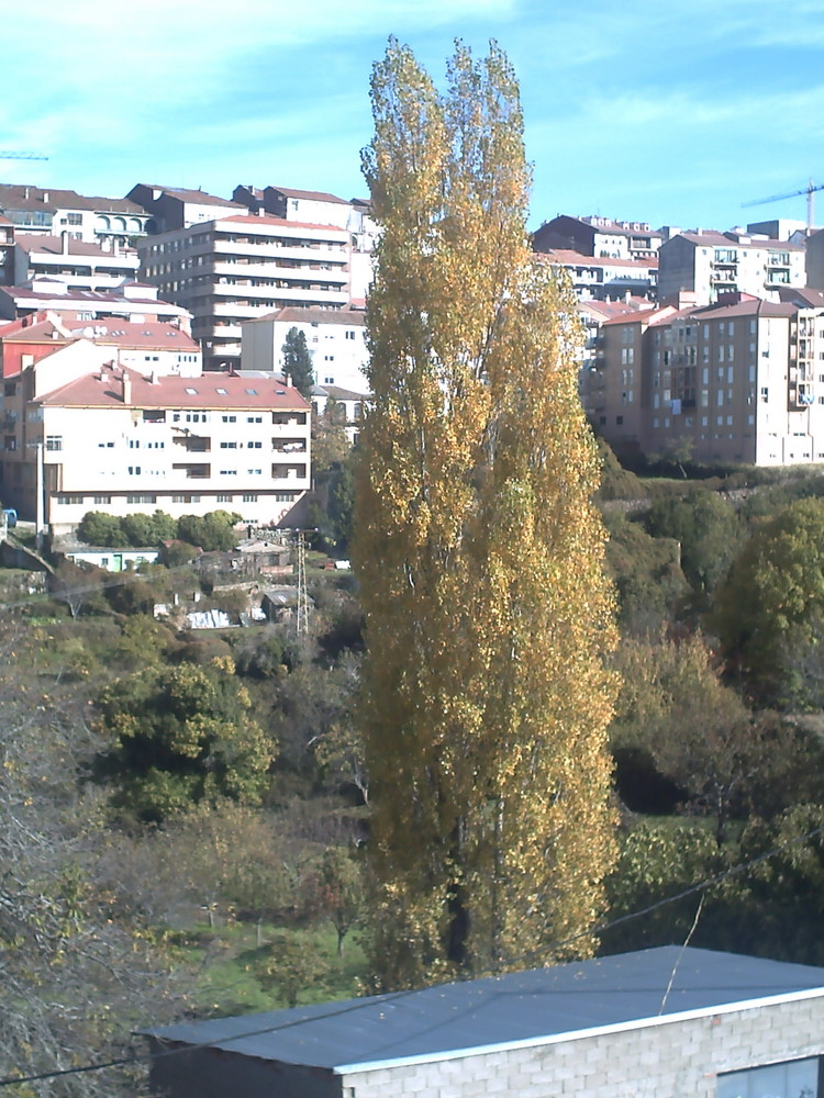 Béjar en otoño