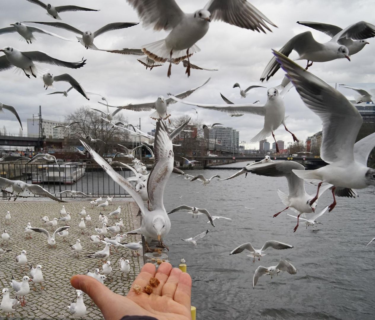 Bekanntschaft am Spree