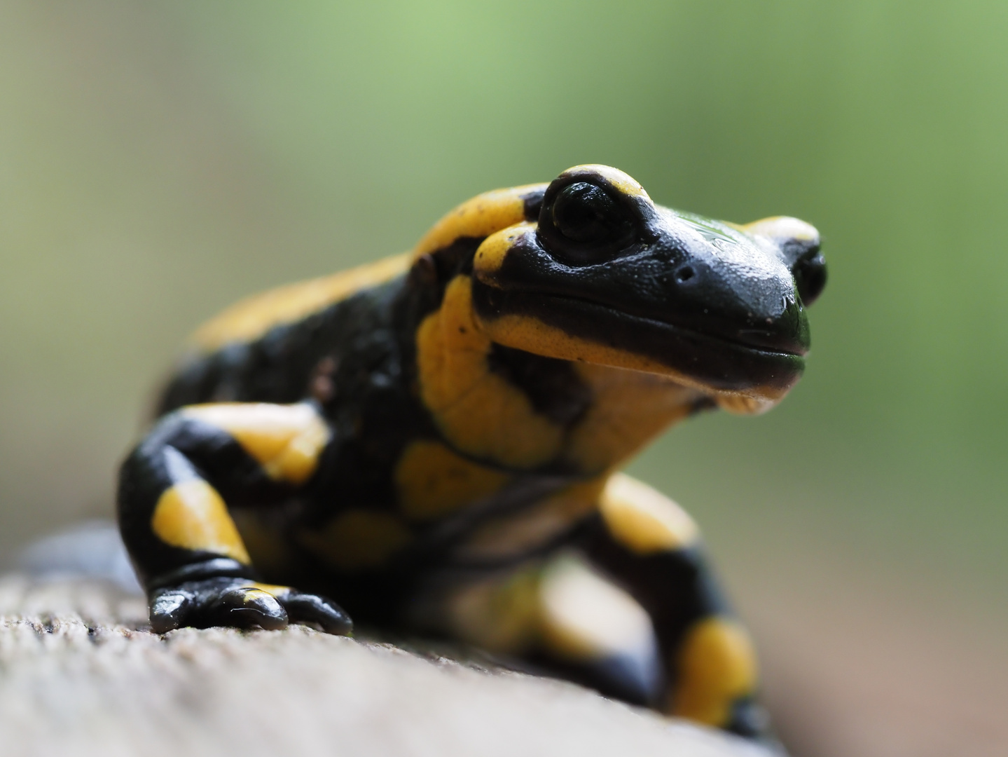 Bekomme ich's runtergeschluckt?