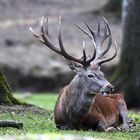 ...Bel automne à toutes et tous....