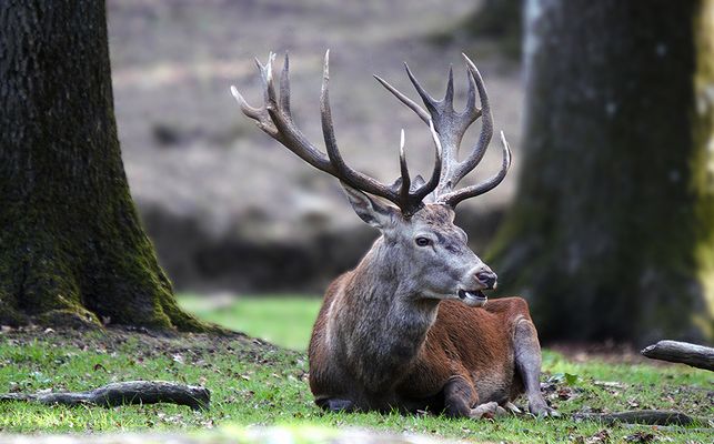 ...Bel automne à toutes et tous....
