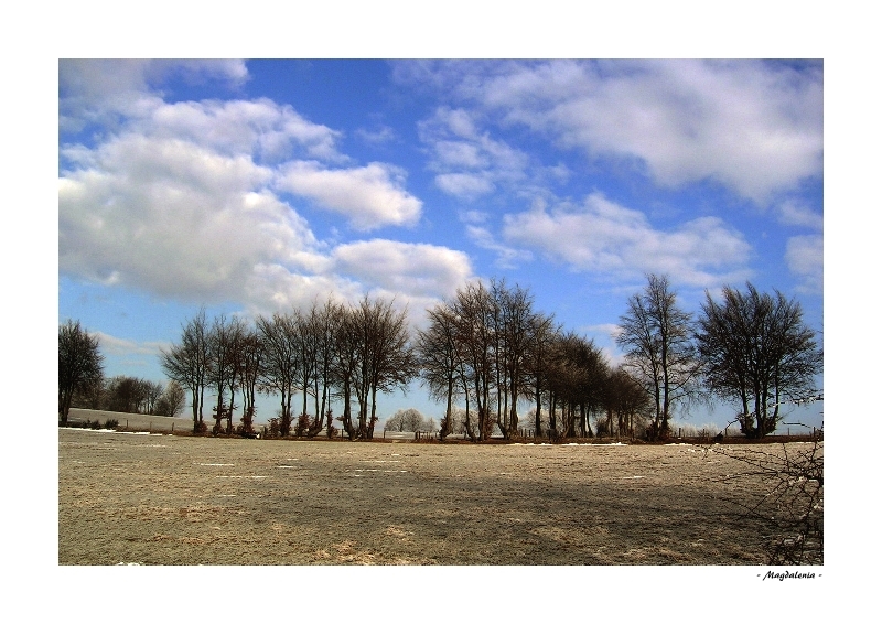 Bel Hiver, au revoir...