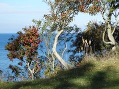 Æbelø im Herbst