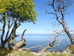 Æbelø im Mai