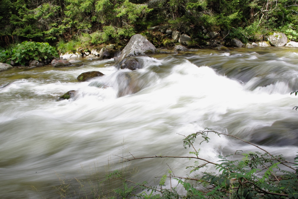 Bela River- Podbanske