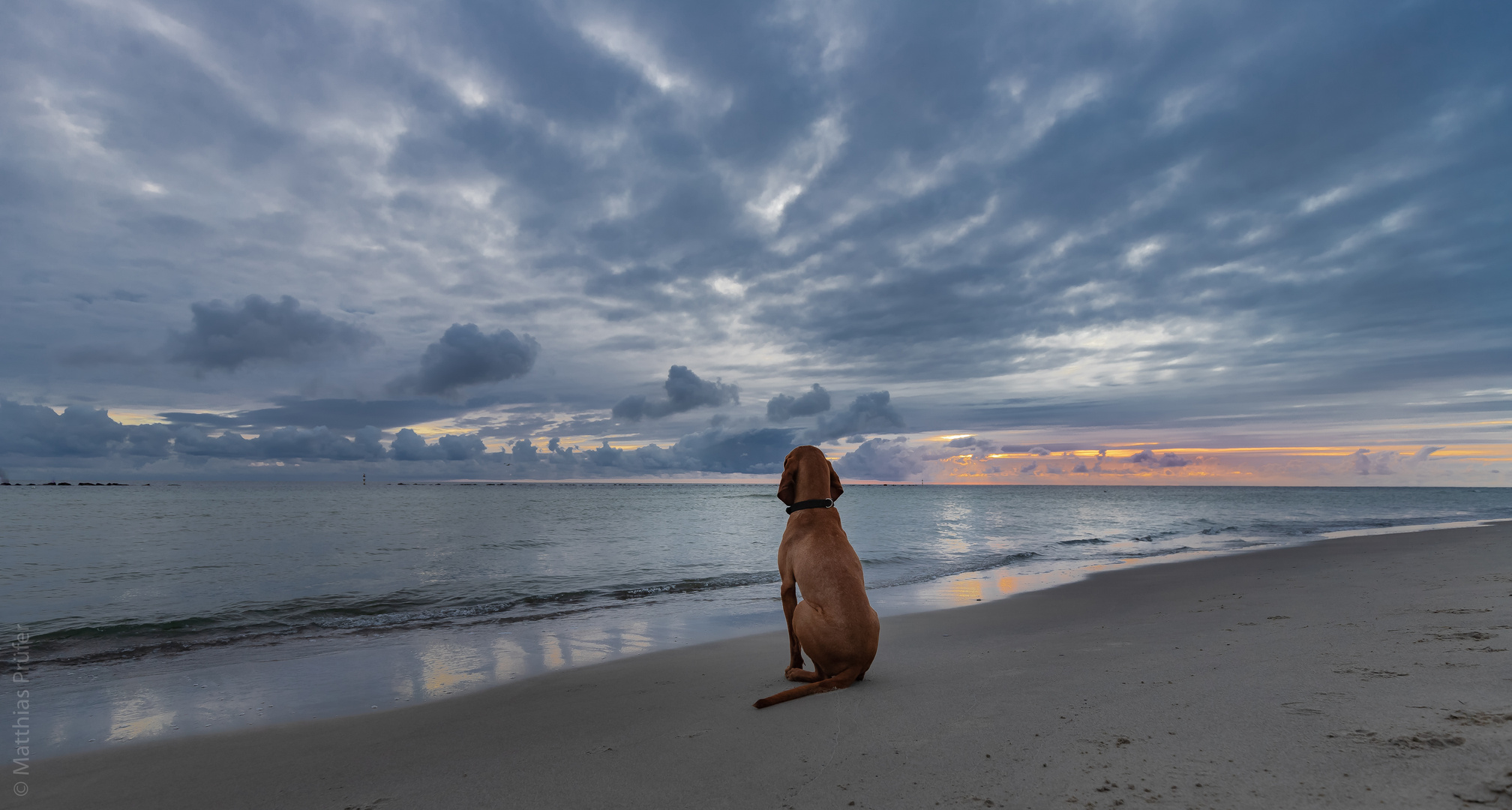 Béla und das Meer