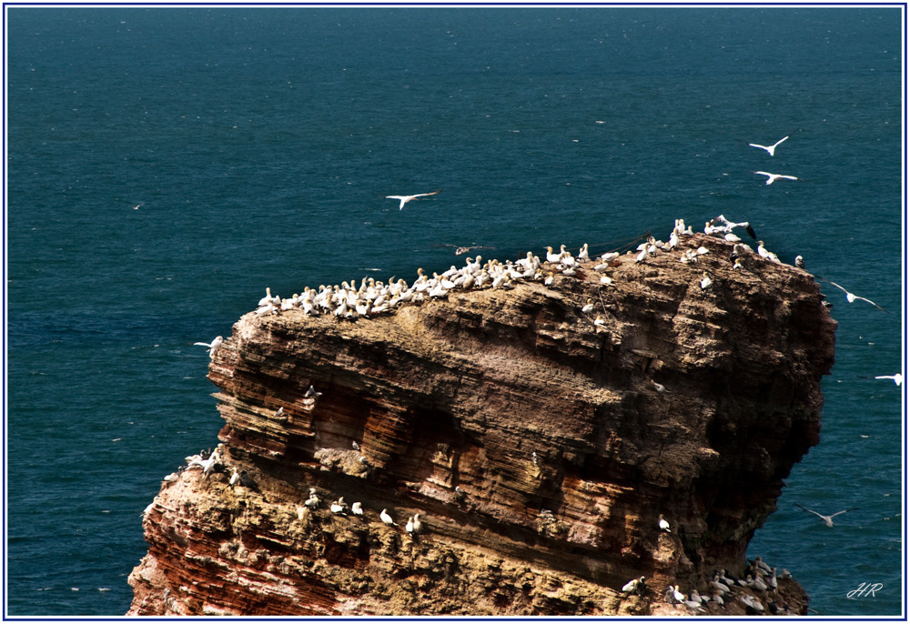 Belagerung der langen Anna, auf Helgoland.