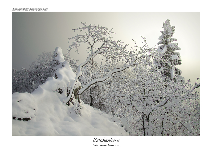 Belchenhorn