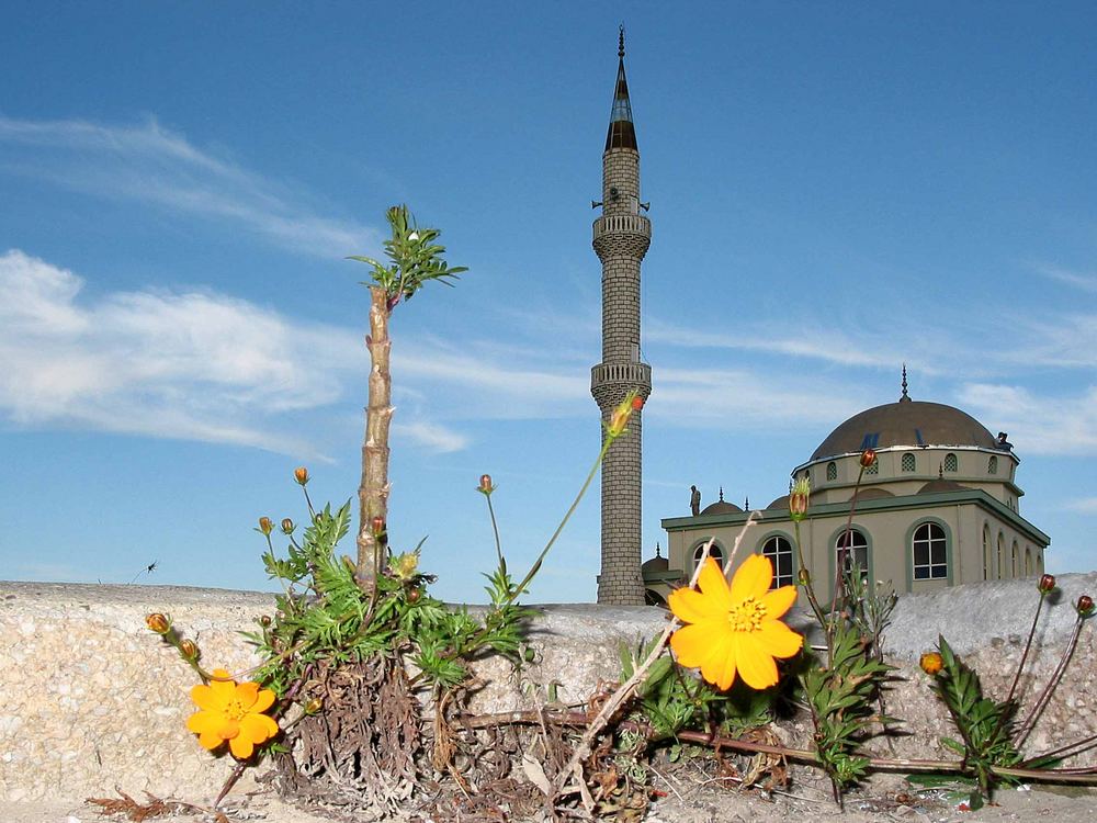 Belek: Moschee / mosque