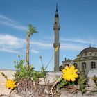 Belek: Moschee / mosque