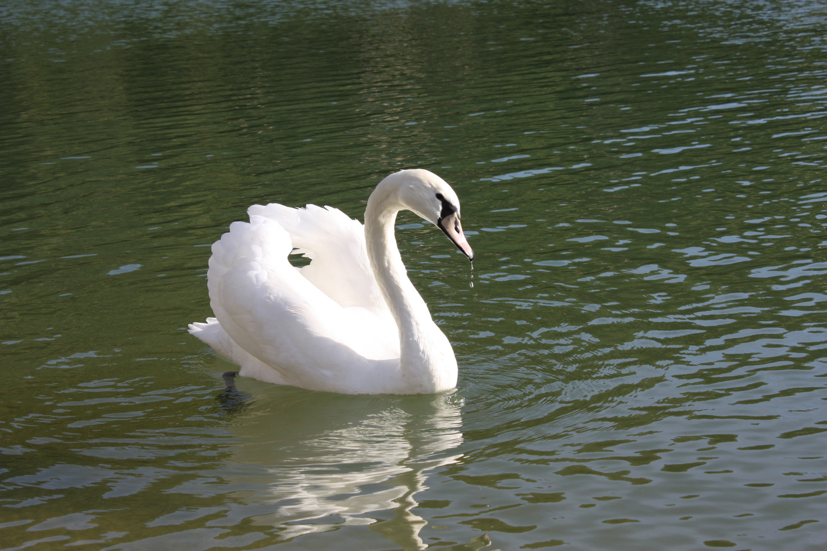 BELETSI LAKE (Parnitha Athens - Greece)