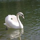 BELETSI LAKE (Parnitha Athens - Greece)