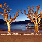 Beleuchtete Platanen zur blauen Stunde in der Bucht von Ascona (Kanton Tessin, Schweiz)