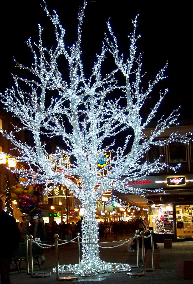 Beleuchteter Baum Foto & Bild gratulation und feiertage, weihnachten