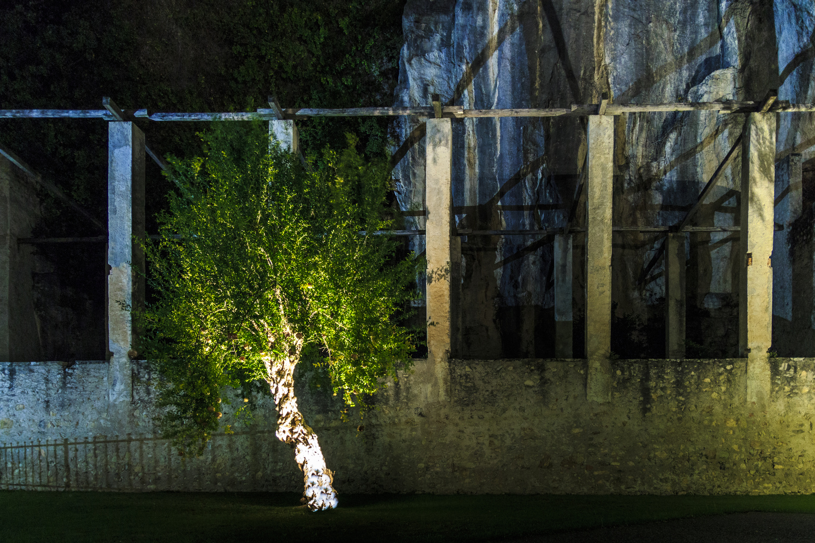 Beleuchteter Baum Foto & Bild architektur, architektur bei nacht