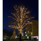 beleuchteter Baum vor dem Lünen Rathaus im Februar 2017