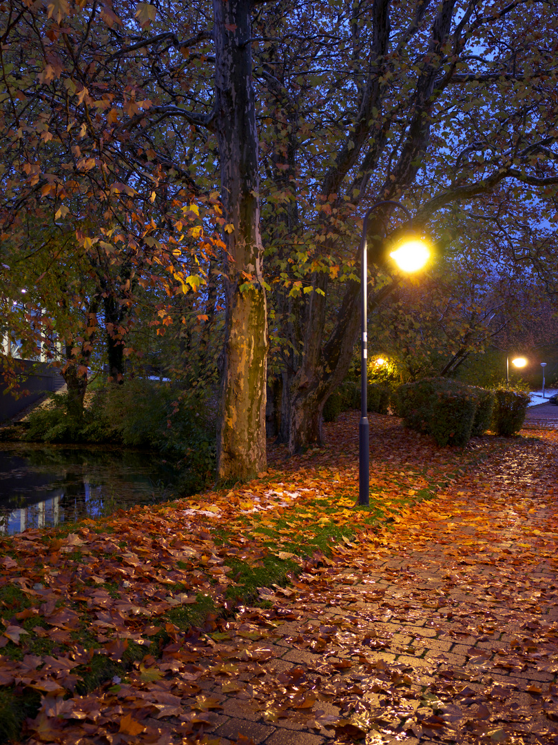 Beleuchteter Fussweg in Herbstfarben 3:4