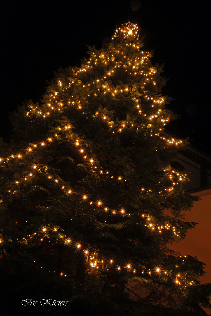 Beleuchteter Tannenbaum