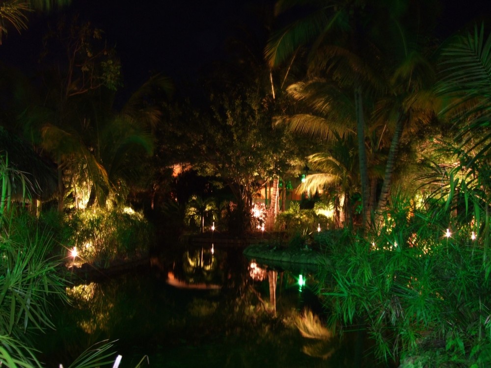 Beleuchteter Teich in Punta Cana Foto & Bild landschaft, garten