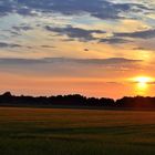 Beleuchtetes Feld durch Sonnenuntergang