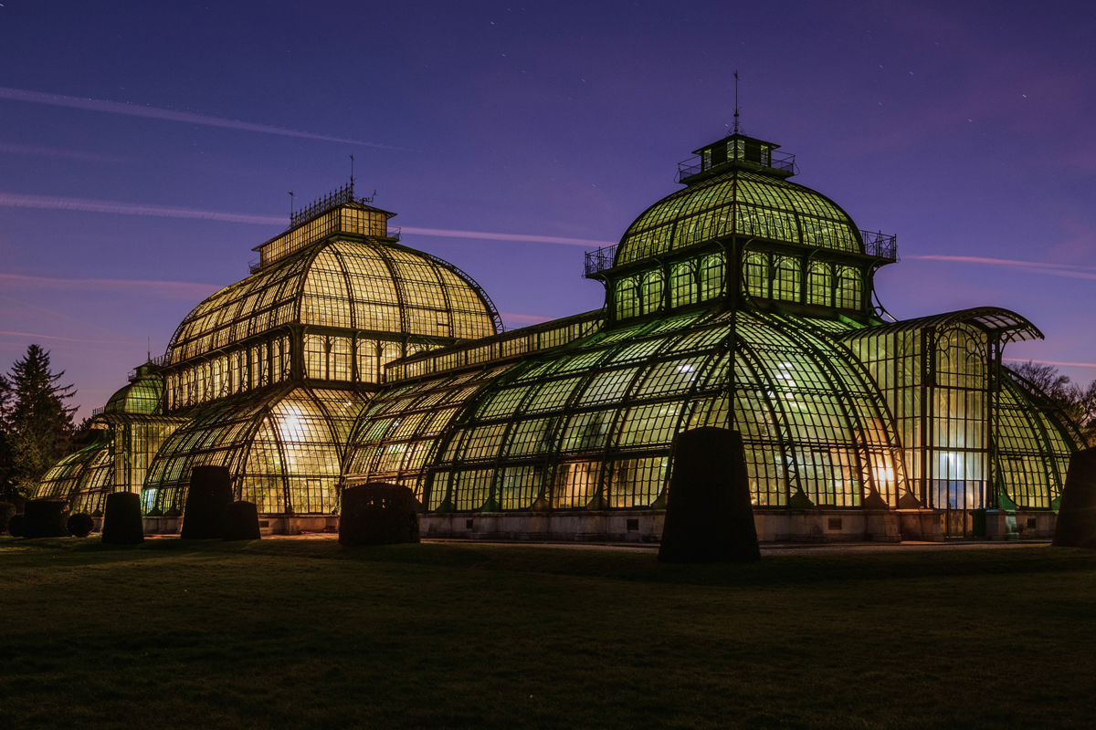 Beleuchtetes Palmenhaus