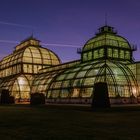 Beleuchtetes Palmenhaus