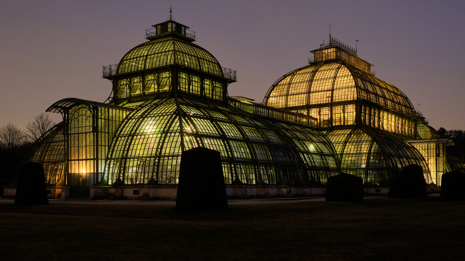 Beleuchtetes Palmenhaus