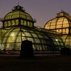 Beleuchtetes Palmenhaus