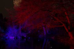Beleuchtung am Teich