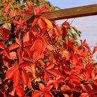 beleuchtung im garten