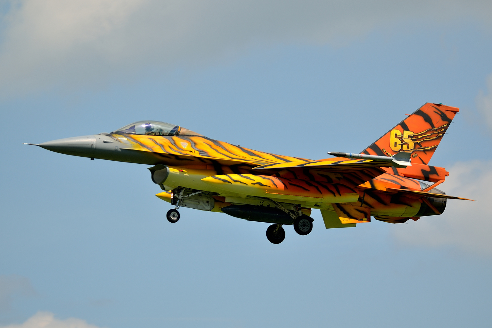 Belgian Air Force F-16 "Tiger"