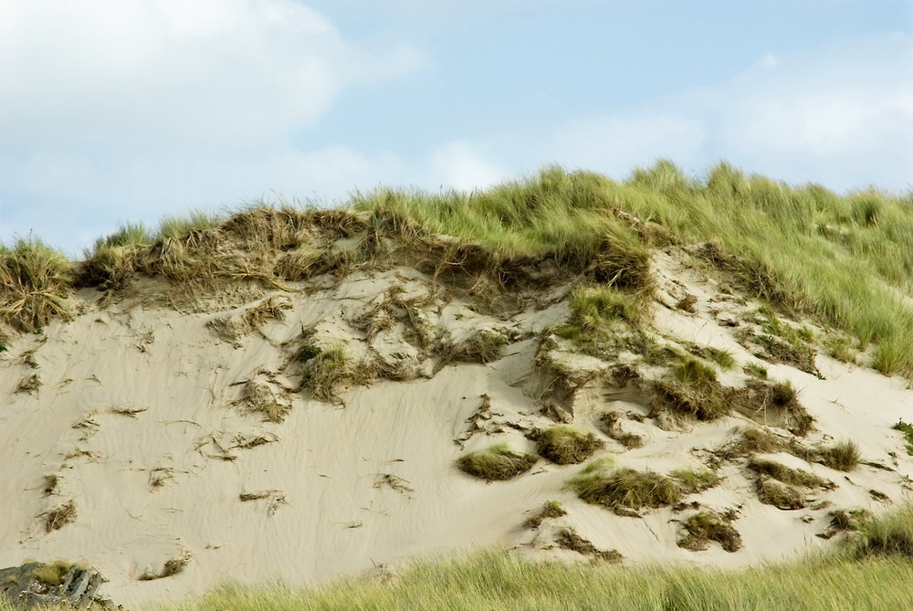 Belgian Coast (Oostduinkerke)